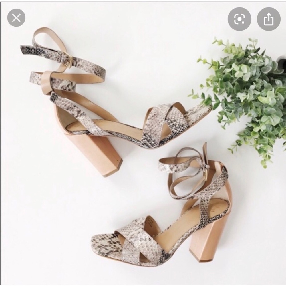 Summer heels snake print